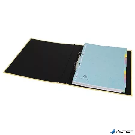Regiszter, karton, A4, 12 részes, EXACOMPTA "Aquarel"