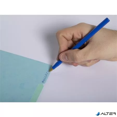 Regiszter, karton, A4, 12 részes, EXACOMPTA "Aquarel"