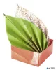 Origami papír, 15x15 cm, 80 g, 50 lap, FOLIA "Tropical", 10 különböző minta