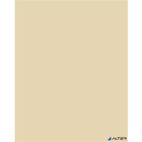 Dekorkarton, 2 oldalas, 50x70cm, 220 g, 10 lap, FOLIA, bézs