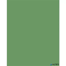   Dekorkarton, 2 oldalas, 50x70cm, 220 g, 10 lap, FOLIA, mohazöld