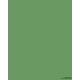 Dekorkarton, 2 oldalas, 50x70cm, 220 g, 10 lap, FOLIA, mohazöld