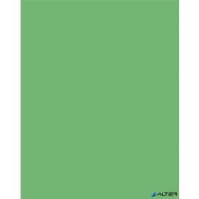   Dekorkarton, 2 oldalas, 50x70cm, 220 g, 10 lap, FOLIA, smaragdzöld