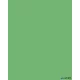 Dekorkarton, 2 oldalas, 50x70cm, 220 g, 10 lap, FOLIA, smaragdzöld
