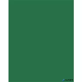   Dekorkarton, 2 oldalas, 50x70cm, 220 g, 10 lap, FOLIA, fenyőzöld