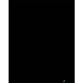   Dekorkarton, 2 oldalas, 50x70cm, 220 g, 10 lap, FOLIA, fekete