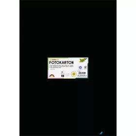   Dekorkarton, 2 oldalas, 50x70 cm, 300 g, 10 lap, FOLIA, fekete