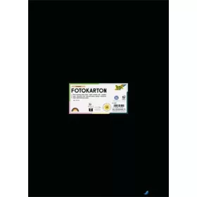   Dekorkarton, 2 oldalas, 50x70 cm, 300 g, 10 lap, FOLIA, fekete
