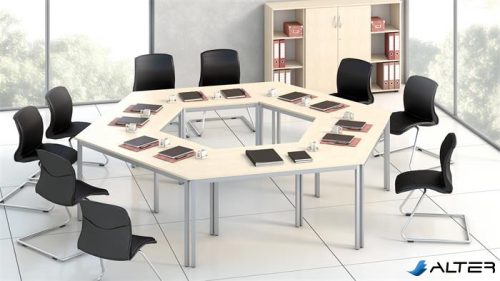 Szekrény, 3 rendező magas, kétajtós, polcokkal, MAYAH 'Freedom SV-06', juhar