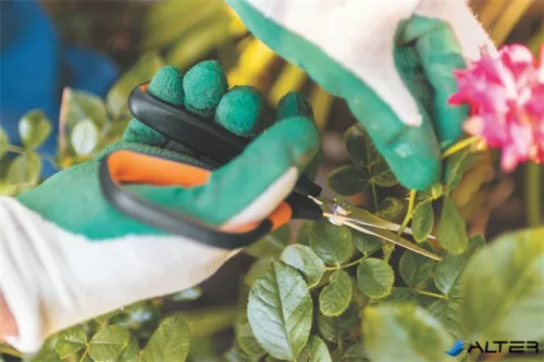 Metszőolló, hegyes, FISKARS "Solid™ SP15"