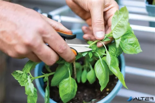 Fűszervágó olló, FISKARS "Solid™ SP220"