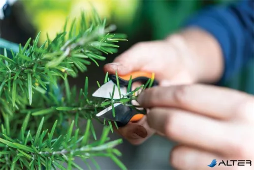 Fűszervágó olló, FISKARS "Solid™ SP220"