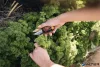 Fűszervágó olló, FISKARS "Solid™ SP220"