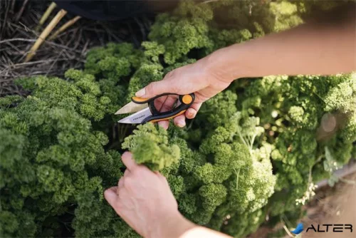 Fűszervágó olló, FISKARS "Solid™ SP220"