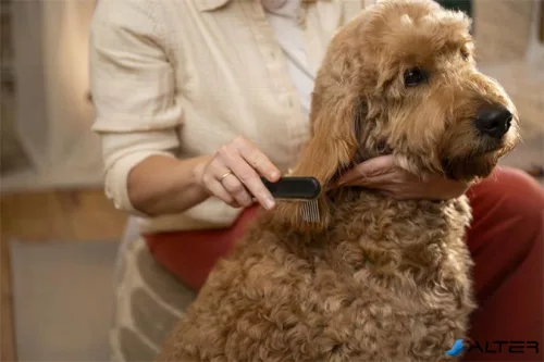 Kisállat kefe, széles fogú, FISKARS "PetCare"
