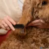 Kisállat kefe, széles fogú, FISKARS "PetCare"