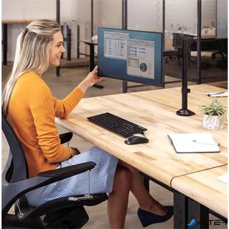 Monitortartó kar, egy monitorhoz, FELLOWES, "Reflex Series™"