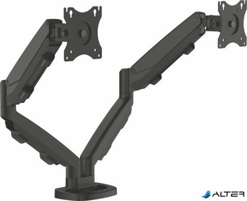 Monitortartó kar két monitorhoz, FELLOWES "Eppa™  "Dual", fekete