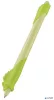 Írástanuló rollertoll, 0,7 mm, radírozható, MAPED "KIDY Learn MAGIC", kaméleon, zöld