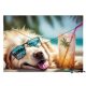 Irattartó tasak, A4 PP, patentos, 180 mikron, PANTA PLAST 'Chillout dog'