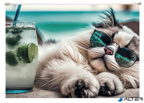 Irattartó tasak, A4, PP, cipzáras, 180 mikron, PANTA PLAST "Chillout cat"