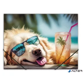   Gumis mappa, 15 mm, PP, A4, PANTA PLAST, 'Chillout dog'