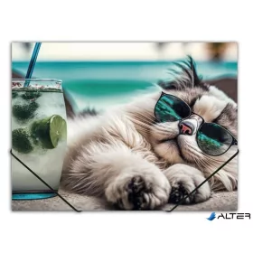   Gumis mappa, 15 mm, PP, A4, PANTA PLAST "Chillout cat"