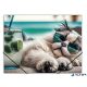 Gumis mappa, 15 mm, PP, A4, PANTA PLAST "Chillout cat"
