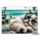Gumis mappa, 15 mm, PP, A4, PANTA PLAST "Chillout cat"