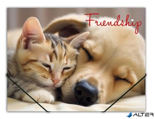 Gumis mappa, 15 mm, PP, A4, PANTA PLAST "Friendship"