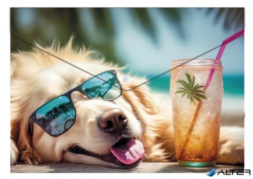 Irattartó tasak, A5 PP, patentos, 180 mikron, PANTA PLAST "Chillout dog"