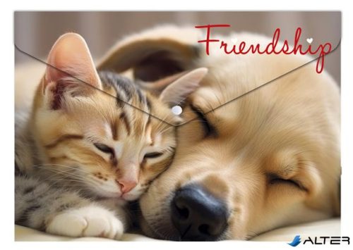 Irattartó tasak, A5 PP, patentos, 180 mikron, PANTA PLAST 'Friendship'