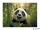 Irattartó tasak, A4 PP, patentos, 180 mikron, PANTA PLAST "Panda"