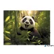 Gumis mappa, 15 mm, PP, A4, PANTA PLAST "Panda"