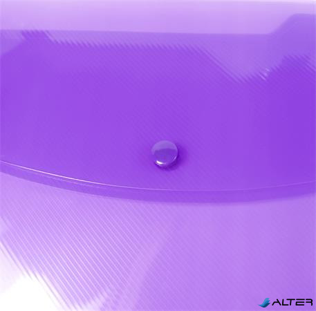 Irattartó tasak, A4+, PP, patentos, RAPESCO "Eco", vegyes csillogó színek