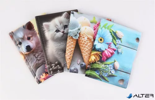 Igazolványtartó, álló, 10 betét lappal, mintás PVC, 'Bővített személyi', lány