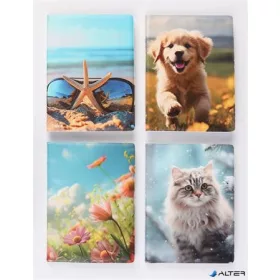   Igazolványtartó, álló, 16 betét lappal, mintás PVC, 'Okmányok', lány