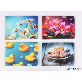   Diák- és igazolványtartó, fekvő, 6 betét lappal, mintás PVC, 'Többlapos', lány