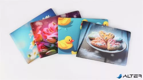 Diák- és igazolványtartó, fekvő, 6 betét lappal, mintás PVC, 'Többlapos', lány