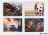 Diák- és igazolványtartó, fekvő, 6 betét lappal, mintás PVC, "Többlapos", fiú
