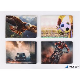   Diák- és igazolványtartó, fekvő, 6 betét lappal, mintás PVC, 'Többlapos', fiú