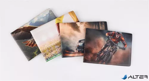 Diák- és igazolványtartó, fekvő, 6 betét lappal, mintás PVC, 'Többlapos', fiú