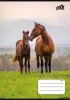 Füzet, tűzött, A5, vonalas, 32 lap, 1. osztály, COOL BY VICTORIA "Free Spirit", "14-32"