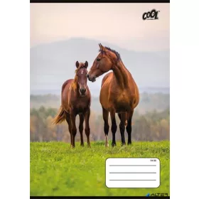   Füzet, tűzött, A5, vonalas, 32 lap, 1. osztály, COOL BY VICTORIA "Free Spirit", "14-32"