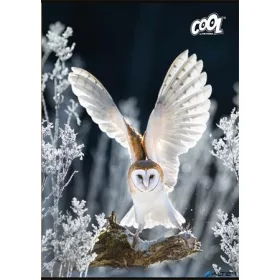   Füzet, tűzött, A4, sima, 80 lap, COOL BY VICTORIA "Wise Wings"