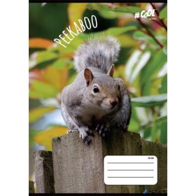   Füzet, tűzött, A5, vonalas, 32 lap, 2. osztály, COOL BY VICTORIA, "Peekaboo", "16-32"