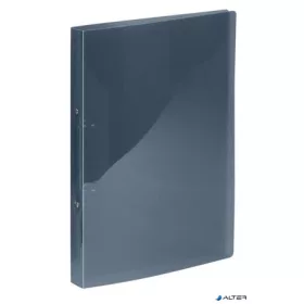   Gyűrűs könyv, 2 gyűrű, 25 mm, A4, PP, VIQUEL "Propyglass", füstszínű