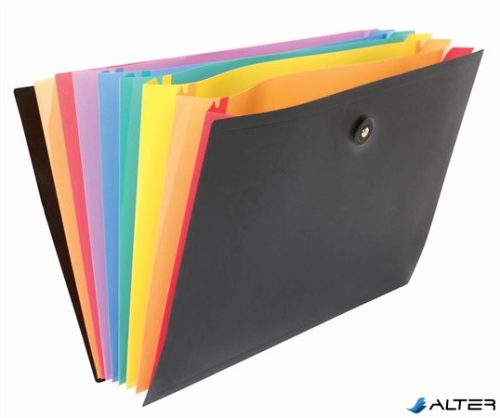 Harmonikamappa, PP, 8 rekeszes, VIQUEL 'Rainbow Class', fekete