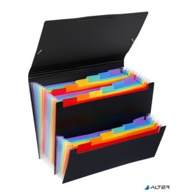   Harmonikamappa, PP, 12+6 rekeszes, VIQUEL 'Rainbow Class', fekete