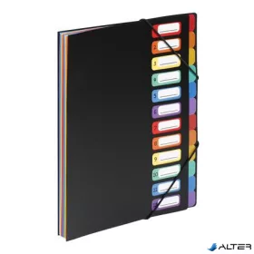   Irattartó mappa, gumis, 12 részes, VIQUEL "Rainbow Class", fekete